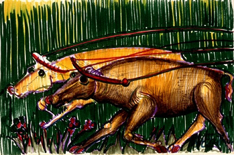 Two Oxen